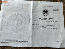 thumb-2456a086-c10d-11ef-8be4-0242ac130002
