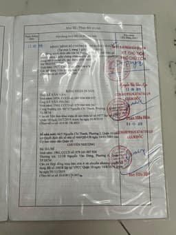 thumb-0f776ced-c299-11ef-8be4-0242ac130002