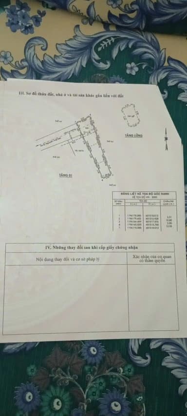 thumb-04de31e3-60f6-11ef-be4a-0242ac130002