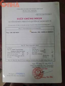 thumb-72d121ea-c199-11ef-8be4-0242ac130002
