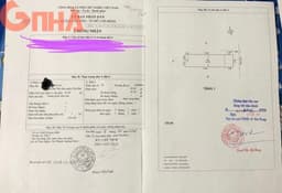 thumb-8bff2ca7-c4c6-11ef-8be4-0242ac130002