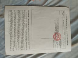 thumb-0104ec4a-ea84-11ee-a86b-0242ac130002