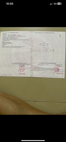 thumb-019edeec-bf98-7528-b3e5-bdca5621d86a