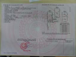 thumb-4d65e8c8-bdc2-11ef-8be4-0242ac130002