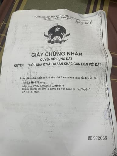 thumb-81199cfa-4646-11ef-be4a-0242ac130002