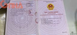 thumb-7ad23590-bf50-11ef-8be4-0242ac130002