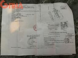 thumb-65f986c9-c0e4-11ef-8be4-0242ac130002