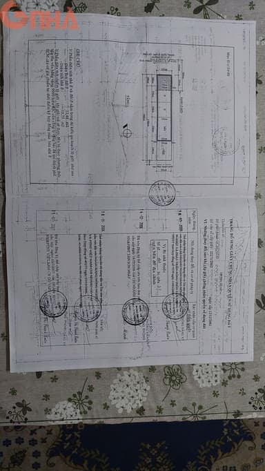 thumb-d881493e-c432-11ef-8be4-0242ac130002