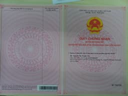 thumb-4d769490-bdc2-11ef-8be4-0242ac130002