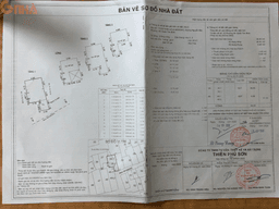 thumb-4d701714-c354-11ef-8be4-0242ac130002