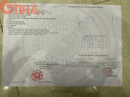 thumb-2b1b8244-beb5-11ef-8be4-0242ac130002