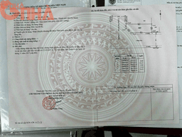 thumb-eba29a72-beb3-11ef-8be4-0242ac130002