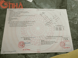 thumb-7c45580d-be7a-11ef-8be4-0242ac130002