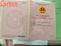 thumb-e6cb5759-c35c-11ef-8be4-0242ac130002