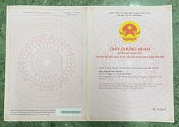 thumb-51cd619f-bce7-11ef-8be4-0242ac130002