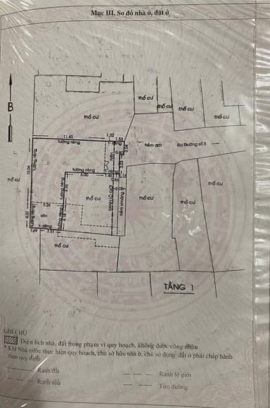 thumb-b937fca2-ed04-11ef-8be4-0242ac130002