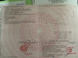thumb-865f9479-58ec-4387-a967-c95501ad5d31